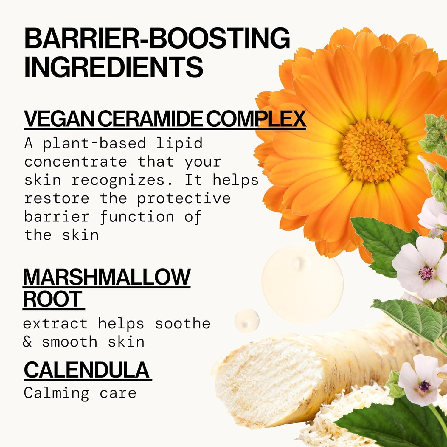 Pacifica Face Wash for Sensitive Skin – Extra Gentle Vegan Ceramide Cleanser, Fragrance-Free Barrier Repair Formula – Daily Hydrating, Clean Beauty, Dermatologist Tested – Premium Health & Beauty Product by Everbeaut.