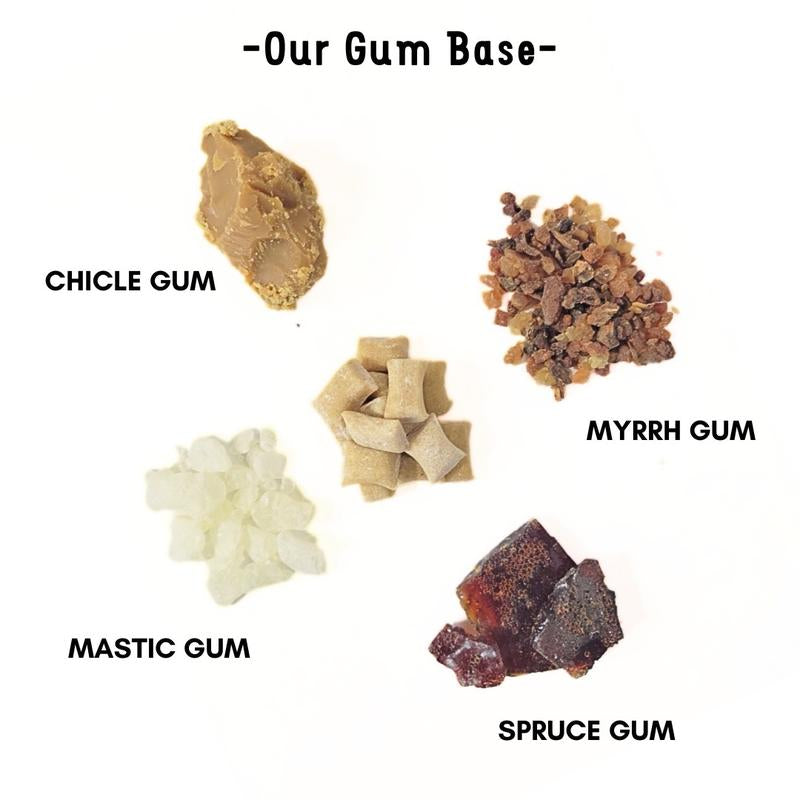 BERRY UNDERBRUSH Remineralizing Chewing Gum with Nano-Hydroxyapatite for Teeth and Gum Protection - 30 DAY SUPPLY Sweet Natural