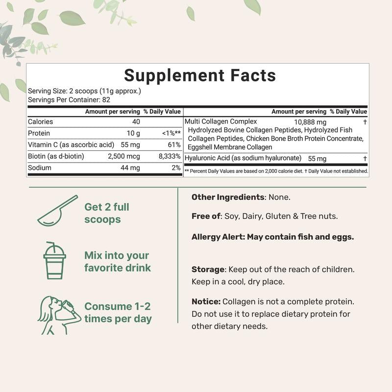 Multi - Collagen Peptides Powder – Types I, II, III, V & X with Biotin, Hyaluronic Acid & Vitamin C - Everbeaut